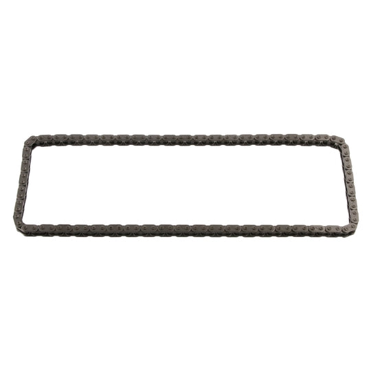 33894 Timing Chain
