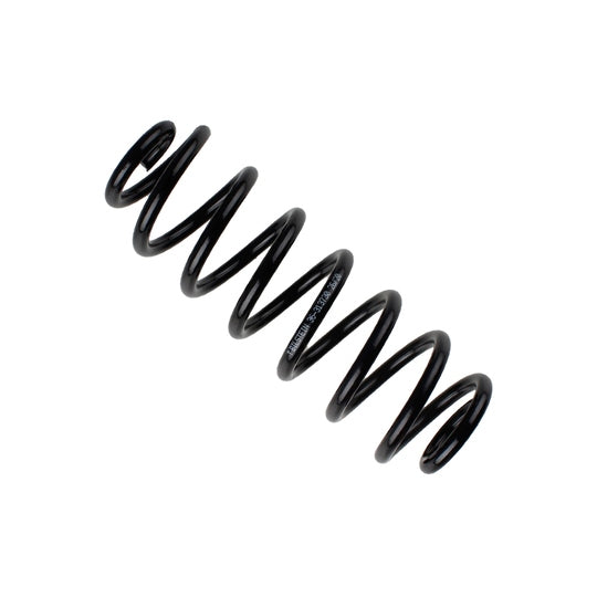 36-313730 Coil Spring
