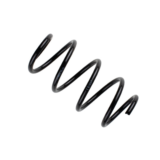 37-309213 Coil Spring