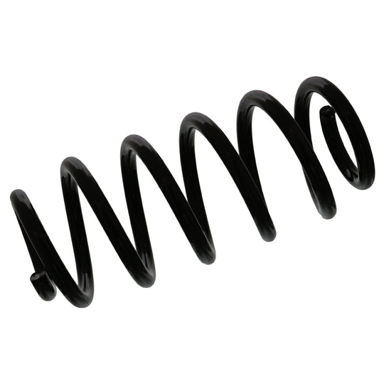 46861 Coil Spring