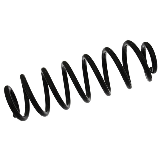 46904 Coil Spring