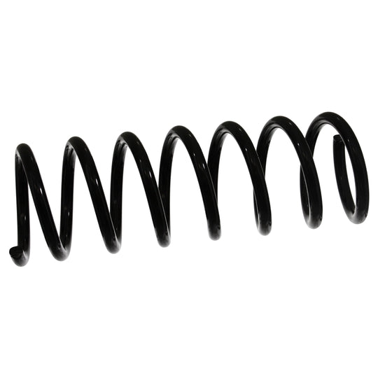46950 Coil Spring