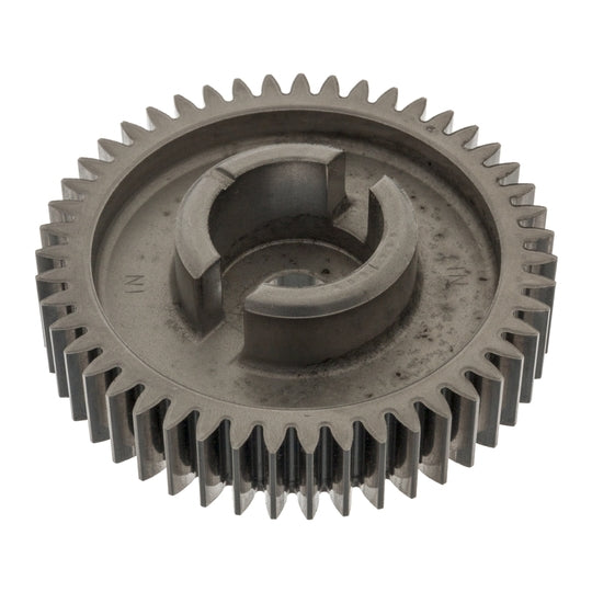 49203 Gear, camshaft