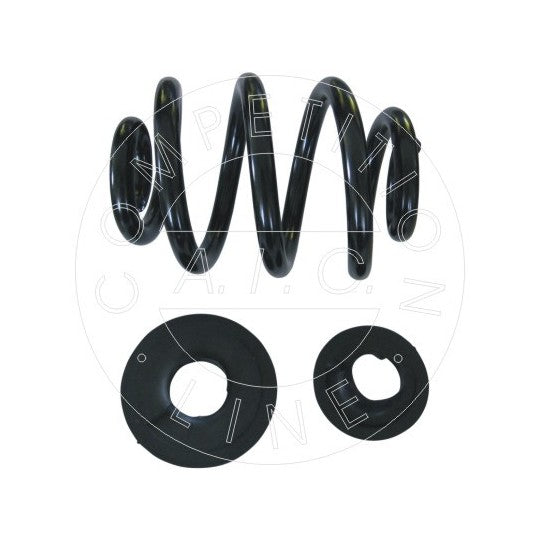 53131 Coil Spring