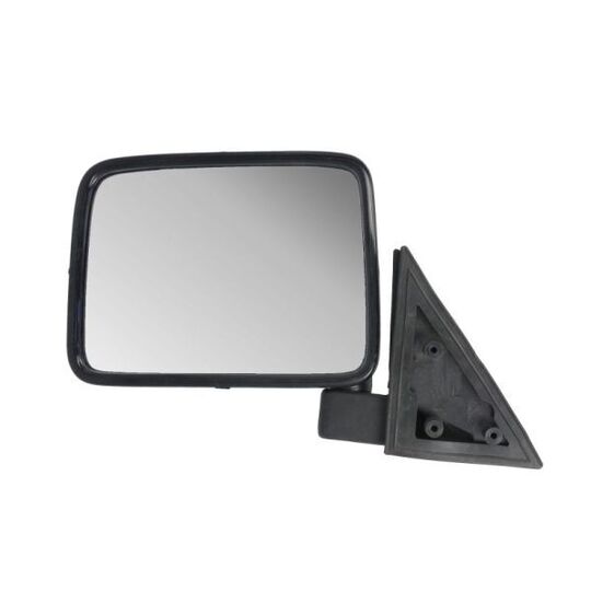 5402-04-9291995P Outside Mirror