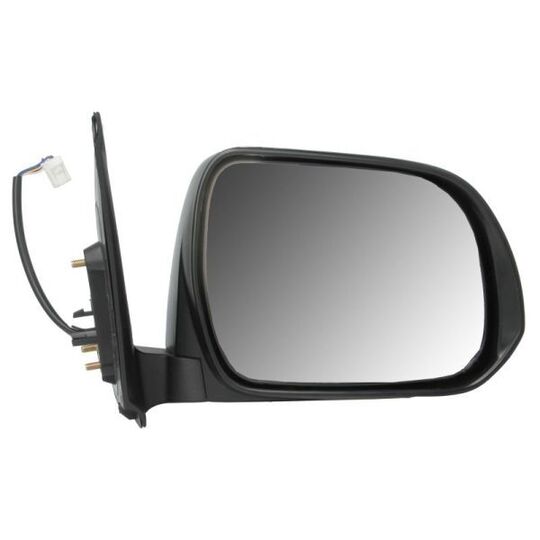 5402-19-2002488P Outside Mirror