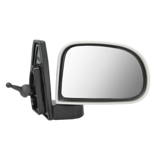 5402-20-2002840P Outside Mirror