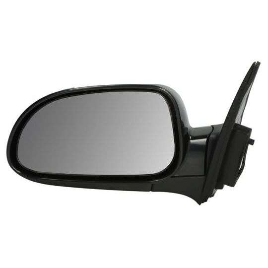 5402-56-2001071P Outside Mirror
