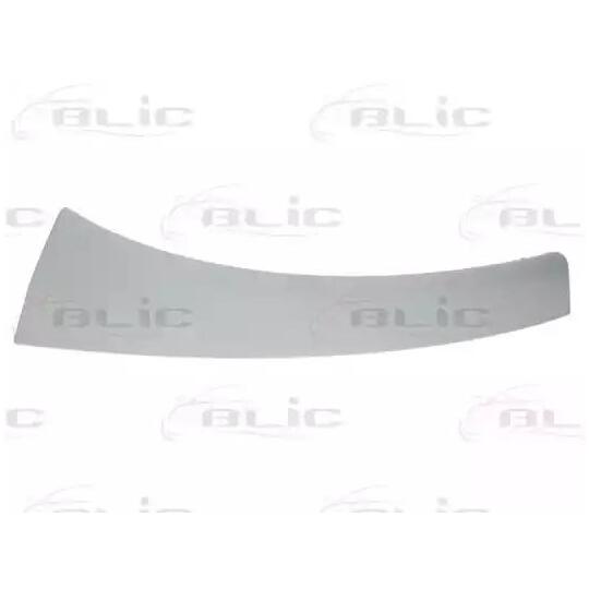 5510-00-2097914P Headlight Trim