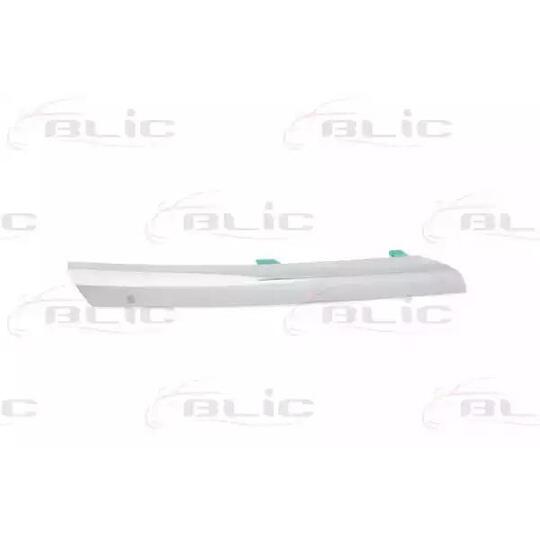 5513-00-1632926P Trim/Protective Strip, radiator grille