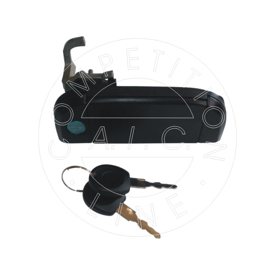 55321 Door Handle