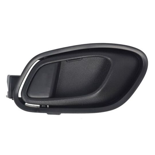 6010-53-043409TP Door Handle