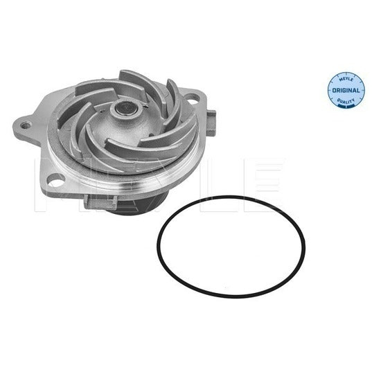 613 220 0001 Water pump