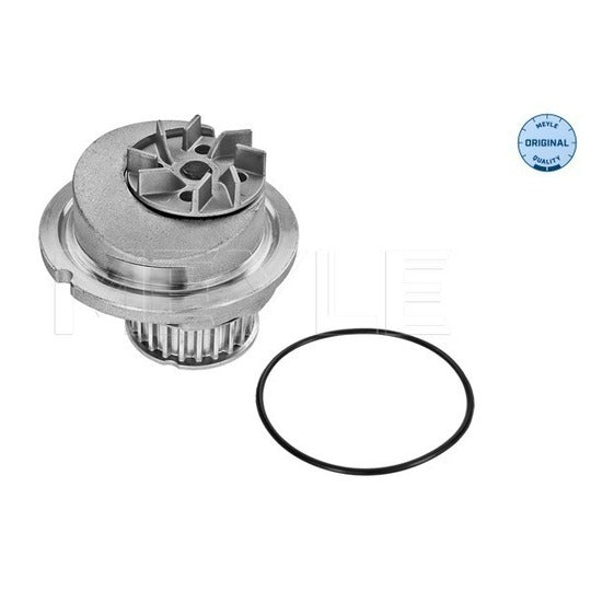613 600 0001 Water pump