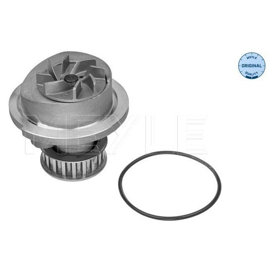 613 600 0005 Water pump