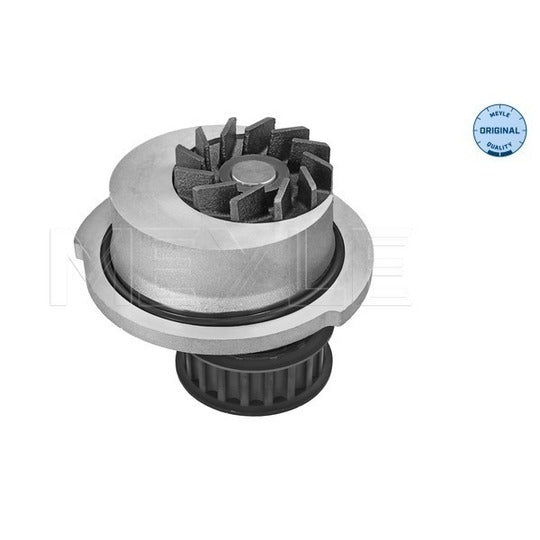 613 600 4098 Water pump