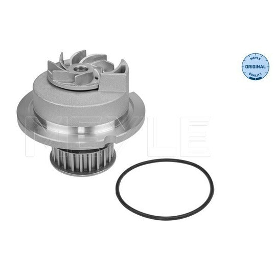 613 600 4135 Water pump