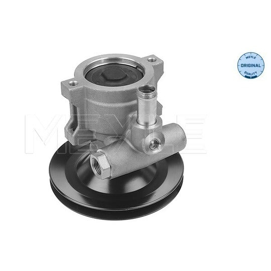 614 631 0011 Hydraulic Pump, steering system