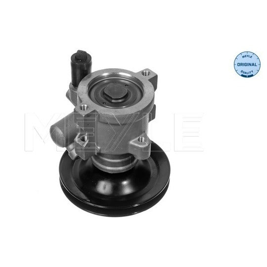 614 631 0013 Hydraulic Pump, steering system