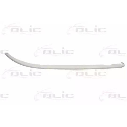6502-07-0065998P Headlight Trim