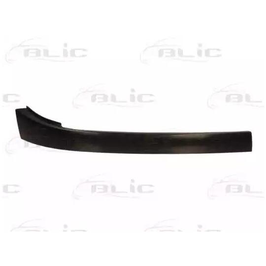 6502-07-0550992P Headlight Trim