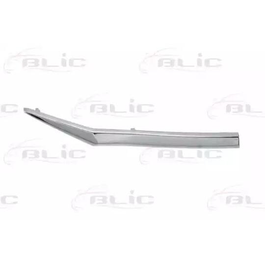 6502-07-2950992P Trim/Protective Strip, radiator grille