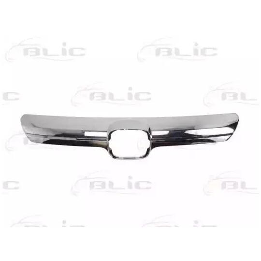 6502-07-2957991P Trim/Protective Strip, radiator grille