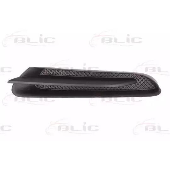 6502-07-5029211P Headlight Trim