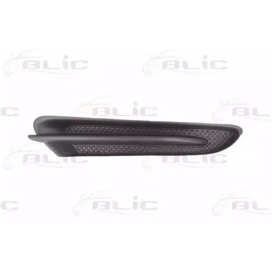 6502-07-5029212P Headlight Trim