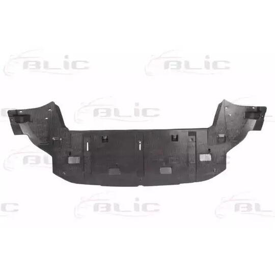 6601-02-5519880P Engine Cover