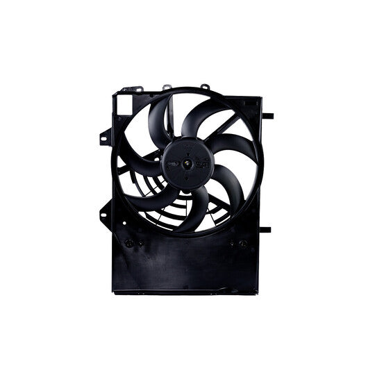 696584 Fan, radiator