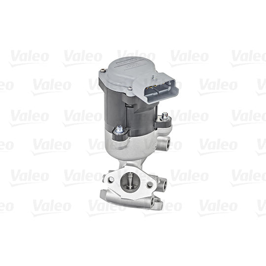700410 EGR Valve