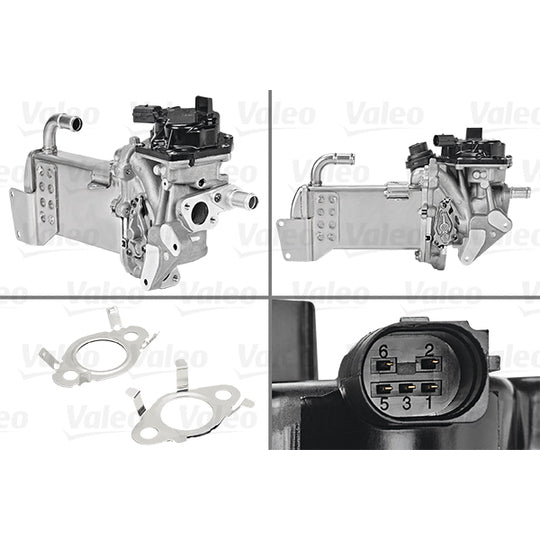 700436 EGR Module