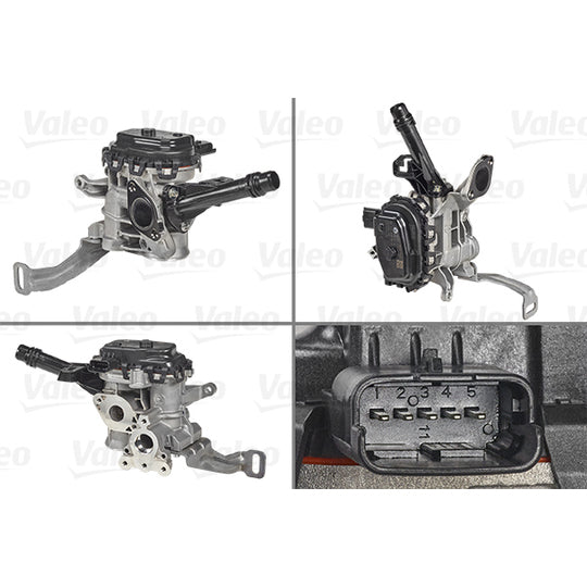700455 EGR Valve