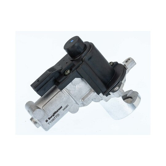 710977D/1 EGR Valve