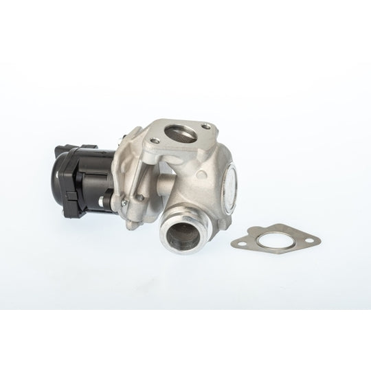 711021D/1 EGR Valve