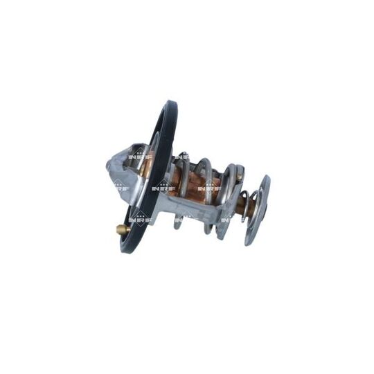 725248 Thermostat, coolant