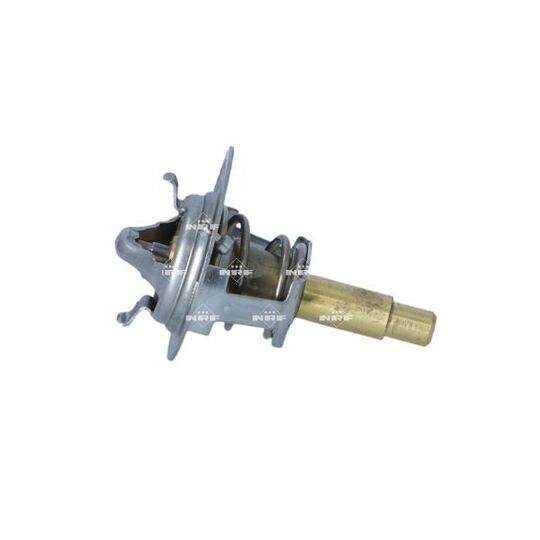 725282 Thermostat, coolant