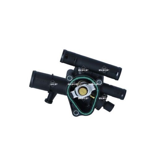 725300 Thermostat, coolant