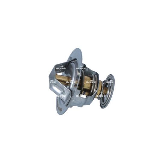 725303 Thermostat, coolant