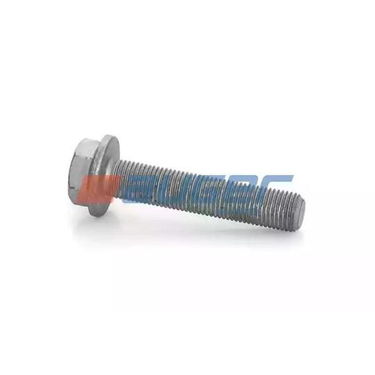 77251 Bolt, brake disc