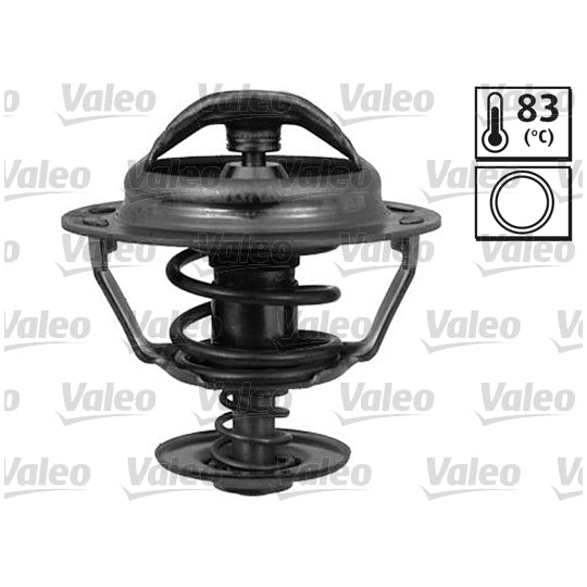 819950 Thermostat, coolant