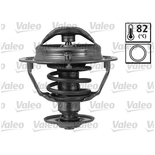 820173 Thermostat, coolant