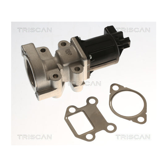 8813 24018 EGR Valve