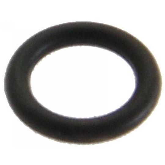 MZCP-001-PCS20 Seal Ring, injector