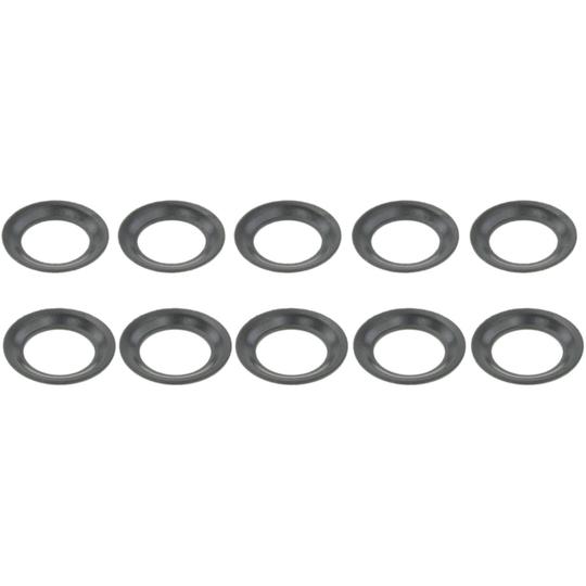 RINGFL-021-PCS10 Seal Ring, injector