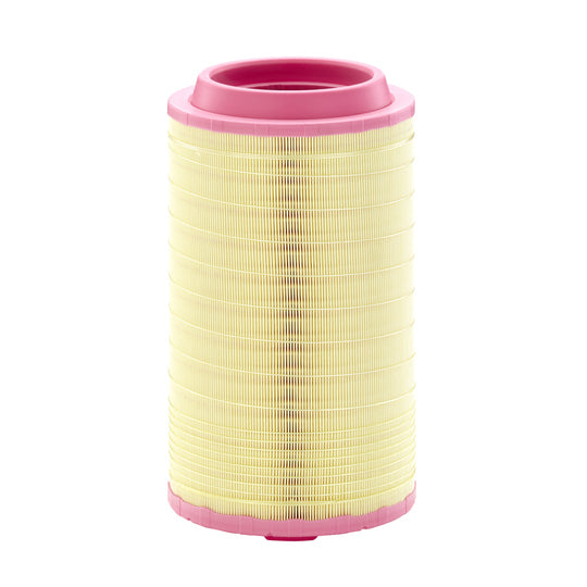 C 24 745/6 Air filter