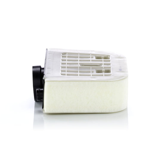 C 38 011 Air filter