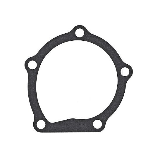 925.170 Gasket, water pump
