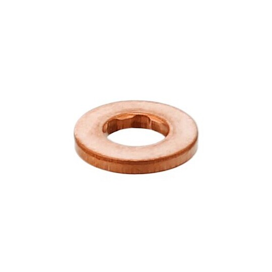456.810 Seal Ring, nozzle holder